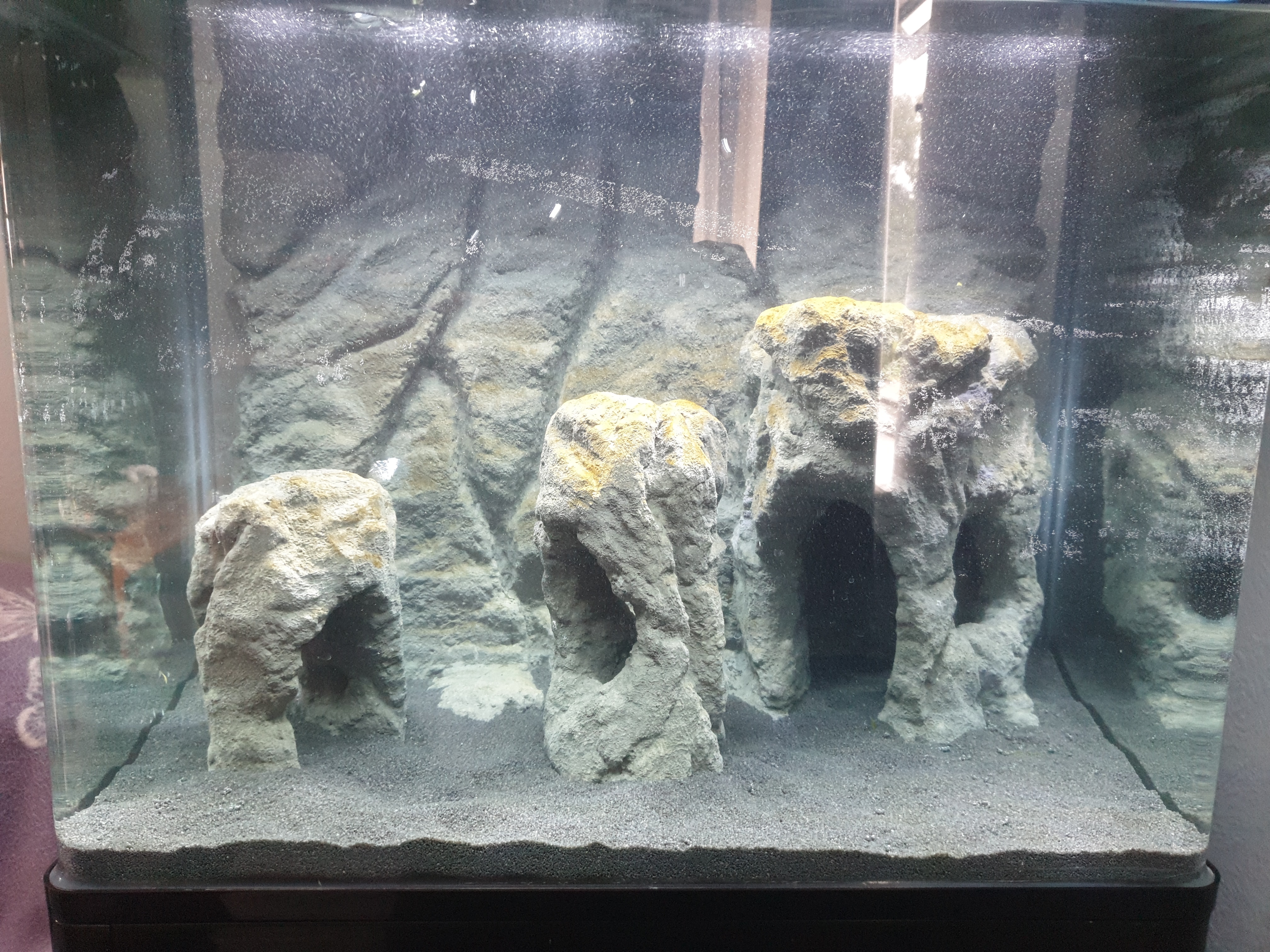 Custom Aquarium Hardscape